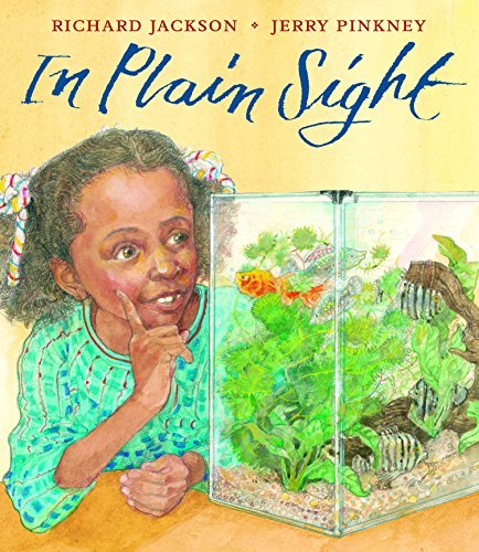 In Plain Sight: A Game