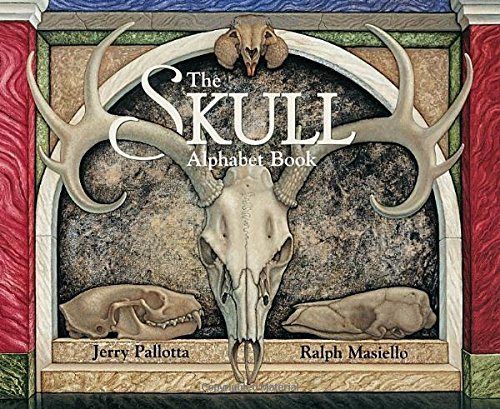The Skull Alphabet Book