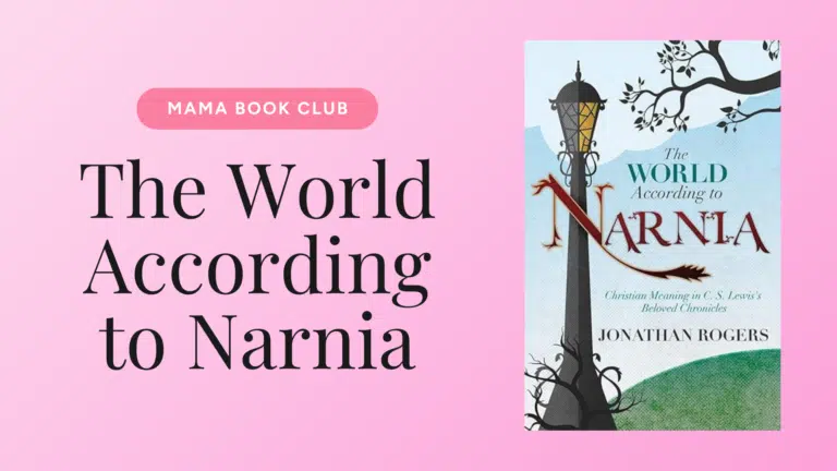 The World According to Narnia