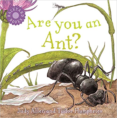 Are You an Ant?
