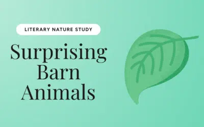 Surprising Barn Animals