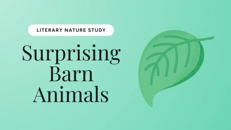 Surprising Barn Animals