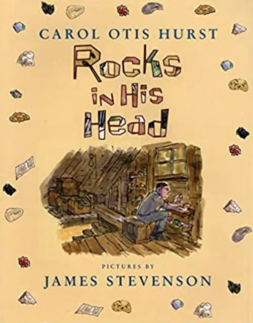 Rocks in His Head