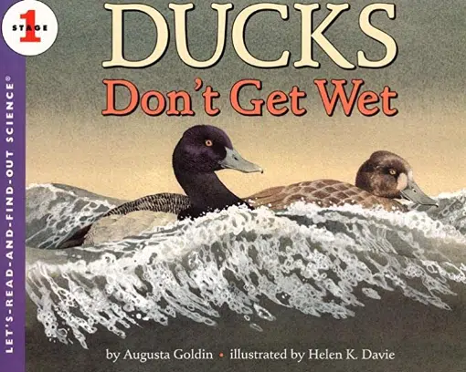 Ducks Don’t Get Wet
