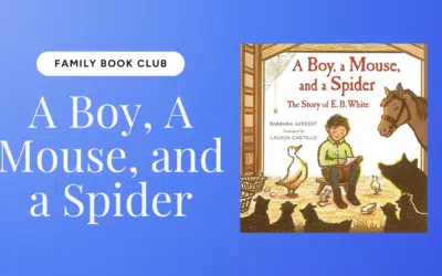 A Boy, a Mouse, and A Spider