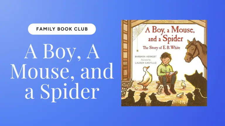 A Boy, a Mouse, and A Spider