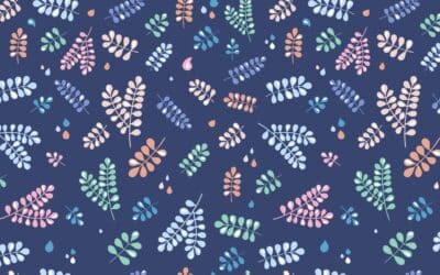 About Those Homeschool Plans