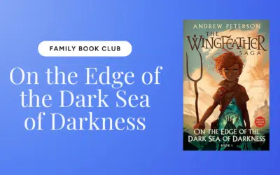 On the Edge of the Dark Sea of Darkness