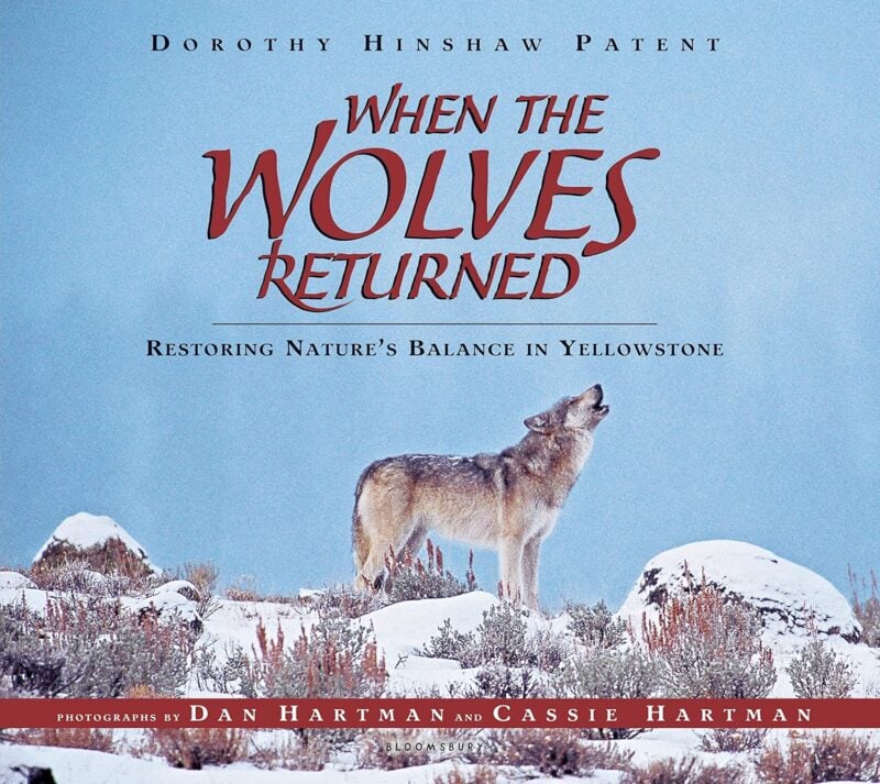 When the Wolves Returned