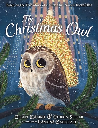 The Christmas Owl