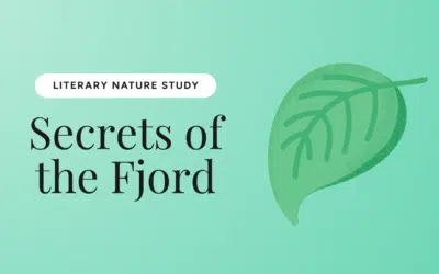 Secrets of the Fjord