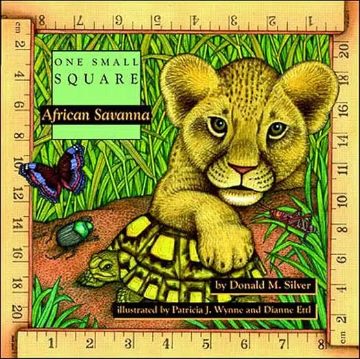 One Small Square African Savanna