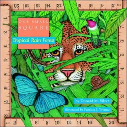 One Small Square Tropical Rain Forest