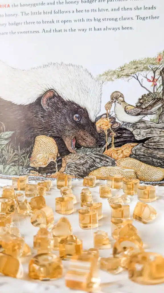 honey-badger - Read-Aloud Revival ® with Sarah Mackenzie Illustration of a badger licking honey from rocks while a small bird watches, with scattered amber honey cubes in the foreground.