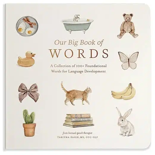 Cover of 'Our Big Book of WORDS' with whimsical illustrations (duck, cat, bunny, butterfly, banana, bow, cactus, teddy bear, eggs, bathtub) around the title.